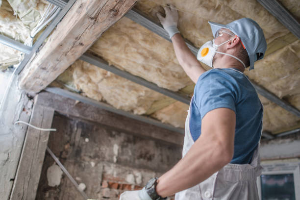 Best Soundproof Insulation Installation  in Berryville, VA