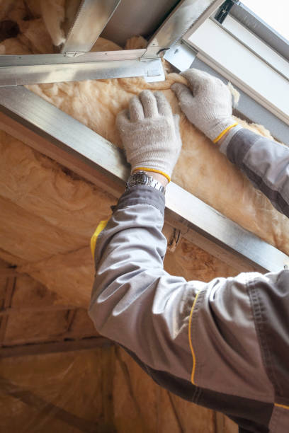 Best Insulation for New Construction  in Berryville, VA