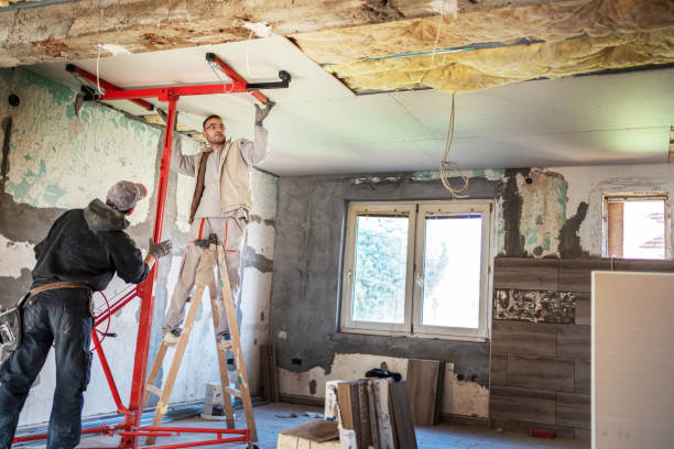 Best Insulation Removal  in Berryville, VA