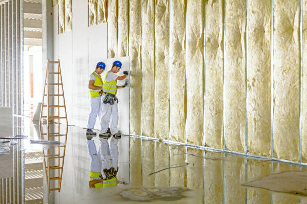 Best Attic Insulation Installation  in Berryville, VA